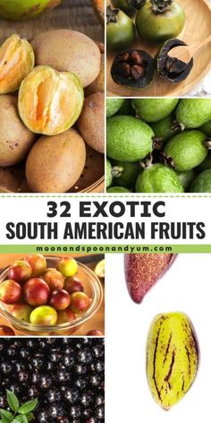 A roundup of native South American fruits! They're great for simple breakfast ideas, delicious dessert recipes, non-alcoholic drinks, and more. Find acai berry, avocado, coconut, dragon fruit, mango, papaya, plantain, and other exotic fruits! Native South American, Simple Breakfast Ideas, Gluten Free Family Meals, Fruit Mango, Recipes Fruit, Yum Recipes, Simple Breakfast, Puerto Rican Recipes, Variety Of Fruits