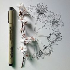 a drawing of flowers on a white wall