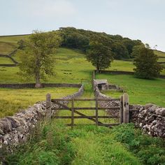 a stone wall and gate in the middle of a grassy field with trees on it