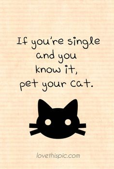 a black cat with the words if you're single and you know it, pet your cat