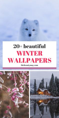 the top 20 beautiful winter wallpapers