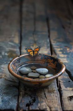 a bowl filled with rocks sitting on top of a wooden table next to a butterfly