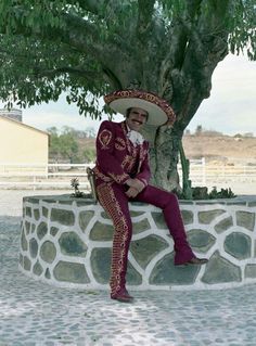 a man in a sombrero sitting on a stone wall next to a tree