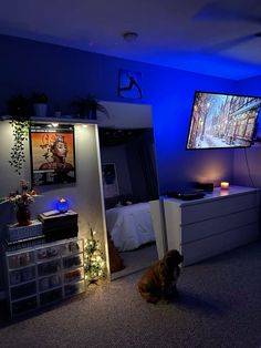 a dog sitting in the middle of a living room with a large screen tv on it's wall