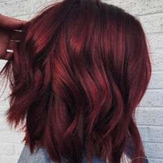 Mulled Wine Hair Color Is Perfect for Winter Red And Burgundy Mixed Hair, All Over Brown Hair Color Fall, Single Process Red Hair Color, Pinot Noir Red Hair, Dark Cherry Red Hair Medium Length, Chin Length Bob Red Hair, Burgundy Hair With Black Money Piece, Multi Tone Red Hair, Cool Dark Red Hair