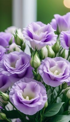 purple and white flowers are in a vase