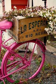 ♥Pretty in pink wheel Bicycle With Flowers, Pink Bicycle, Bicycle Decor, Pink Bike, Have Inspiration, Colorful Roses, Old Bikes, Vintage Bike, Deco Floral