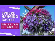 there is a hanging basket with purple flowers on the top and red flowers in the bottom