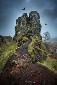 two birds flying over the top of a tall rock formation with moss growing on it's sides