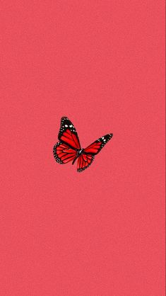 a red and black butterfly flying in the air on a pink background with space for text