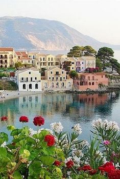 the flowers are blooming in front of the water and houses on the hill side