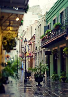 an image of a city street with potted plants on the sidewalk and buildings in the background