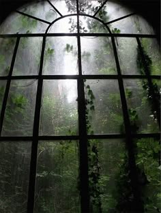 an open window in the middle of a forest filled with green plants and trees,