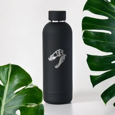 a black water bottle next to a green plant