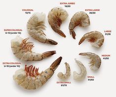 the different types of shrimp are arranged in a circle on a white background with words describing their names