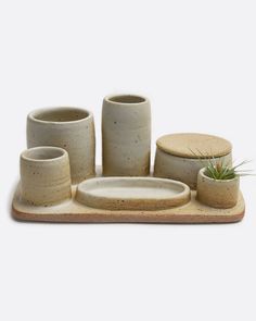 a set of four ceramic cups and saucers on a tray with a succulent plant in the middle