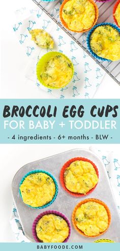 broccoli egg cups for baby and toddler are in the muffin tins