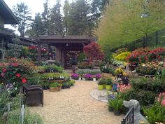 a garden filled with lots of different types of flowers and plants next to a building