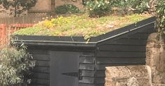 an outhouse with a green roof and plants growing on top