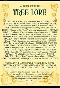 the tree lore is written in an old style with leaves and other things on it