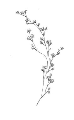 a drawing of some flowers on a white background