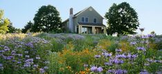 the house is surrounded by wildflowers and trees