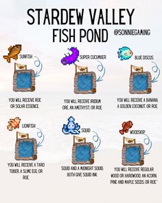 an image of a fish pond with instructions on how to use it and what you can do