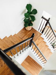 an overhead view of a stair case with a plant next to it on the floor