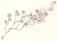 a drawing of flowers on a white background