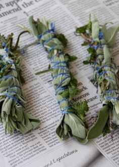 dried herbs are laid out on top of an open book with blue twine around them