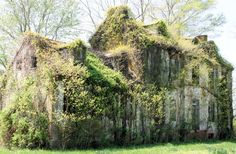 an old building with vines growing on it's roof and windows, in the middle of a grassy area