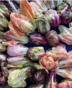 colorful cabbages are arranged in a circle on a blue tablecloth with white and pink flowers