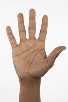 a person's hand with the palm up