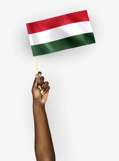 a hand holding a small flag on top of a white background with the colors of the hungarian and green stripes