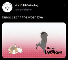 two cats sitting next to each other on top of a pink and black background with the words kuro cat hit the woah by