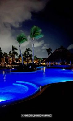 an empty swimming pool at night with palm trees in the background and lights shining on the water