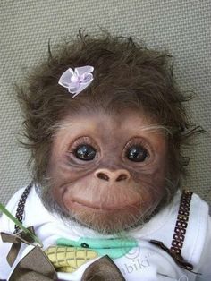 a monkey wearing a white shirt and green bow tie