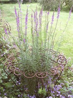 an iron plant stand in the middle of some flowers and grass with purple flowers growing out of it