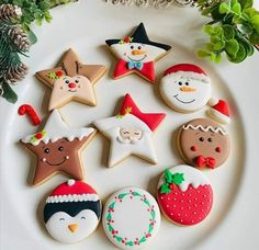 decorated christmas cookies arranged on a white plate