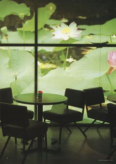 three chairs and a table in front of a window with water lilies on it