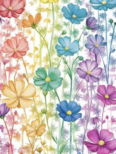 an image of colorful flowers on a white background