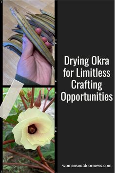 three pictures with the words driving okra for limitless crafting opportunities