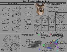 an image of how to draw a wolf head with different shapes and colors on it