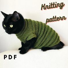 a black cat wearing a green sweater sitting on top of a white couch with the caption knitting pattern