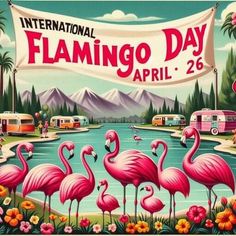 an advertisement for the international flamingo day