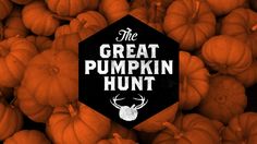 the great pumpkin hunt logo surrounded by hundreds of pumpkins with antlers on them