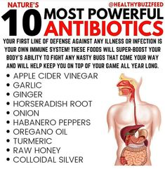 Antibiotics Natural, Homemade Antibiotic, Food Remedies, Home Doctor