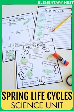 spring life cycles science unit for elementary students with pictures and text on the front cover