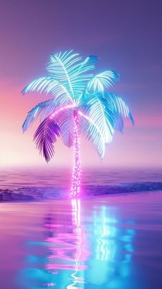 a palm tree is reflected in the water at sunset with its reflection on the surface