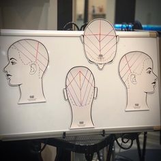 Hair Diagram, Women Haircut, Beauty Academy, Highlights And Lowlights, Mens Cuts